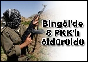 Bingöl'de 5' i kadın 8 terörist öldürüldü